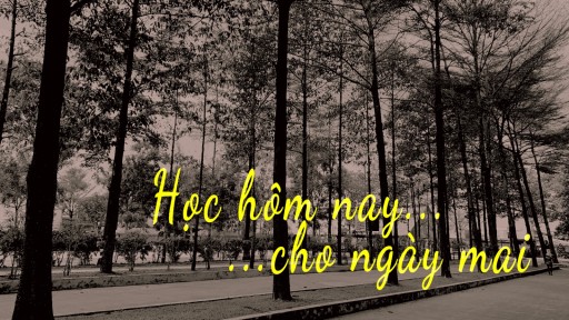 Học hôm nay, cho ngày mai