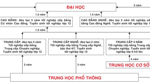 Mô hình Đào tạo liên thông